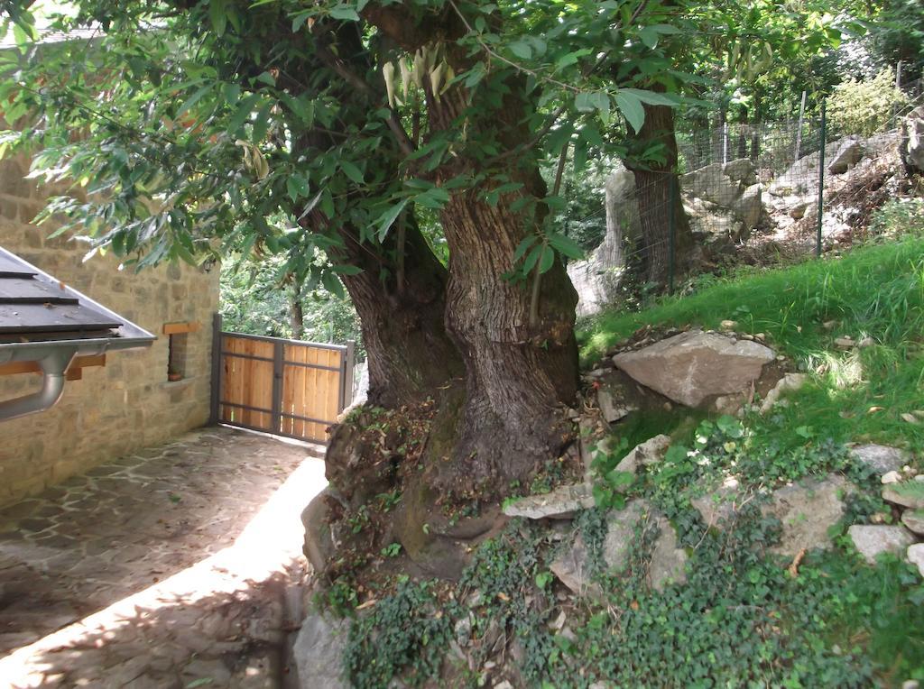 Agriturismo Ai Ronchi โซริโค ภายนอก รูปภาพ