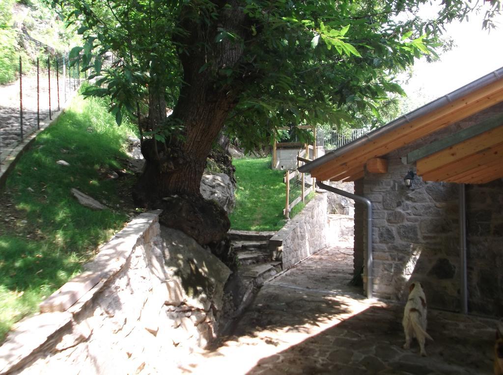 Agriturismo Ai Ronchi โซริโค ภายนอก รูปภาพ